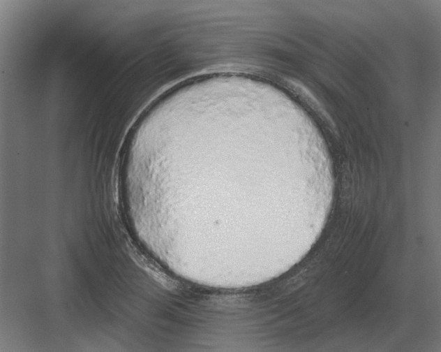 X0000082141276200702162133