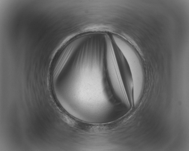 X0000082141277200702162133