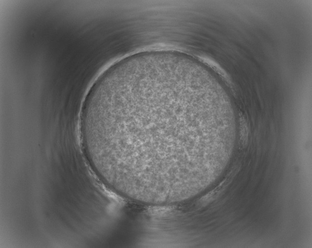 X0000082141278200702162133