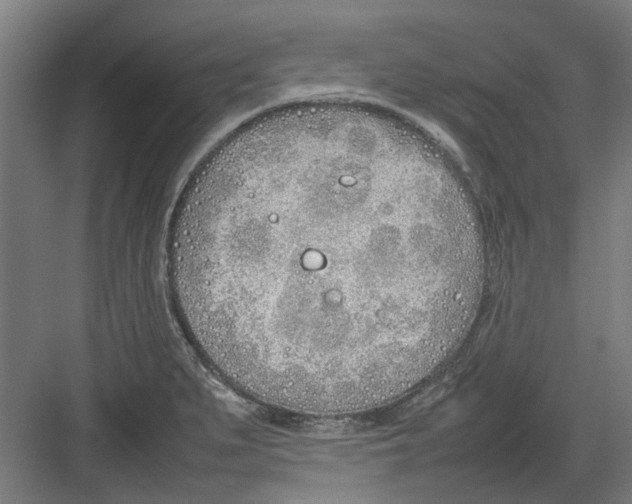 X0000082141279200702162133