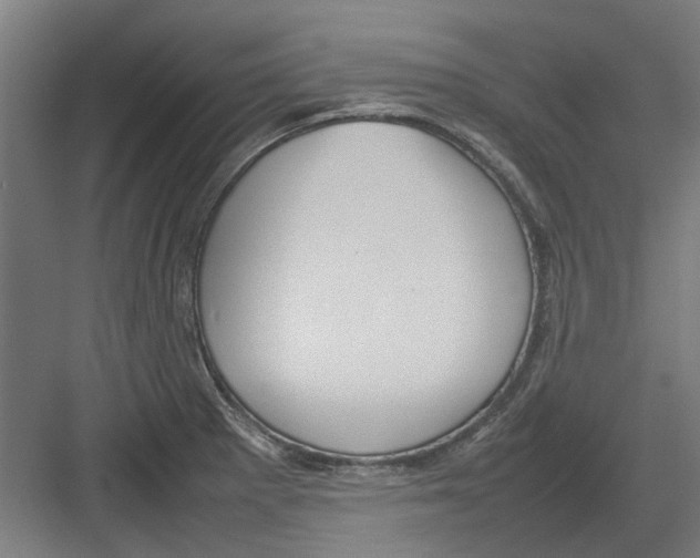 X0000082141281200702162133