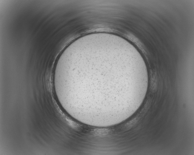 X0000082141282200702162133