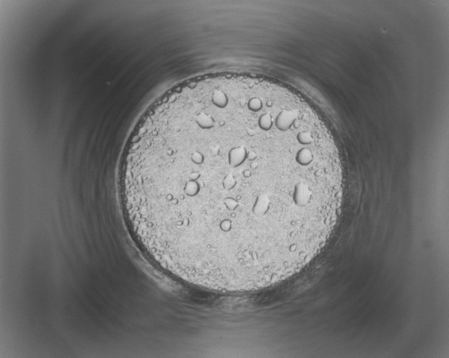 X0000082141283200702162133