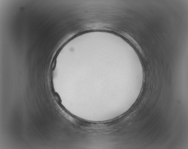 X0000082141285200702162133