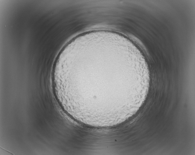 X0000082141288200702162133