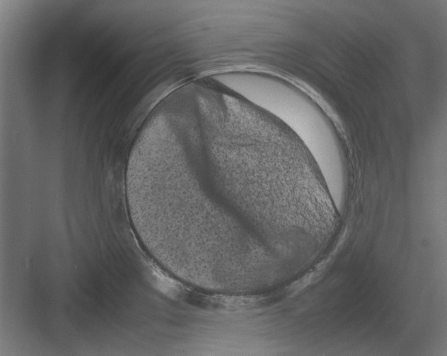 X0000082141289200702162133