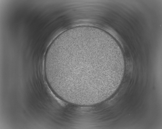 X0000082141290200702162133