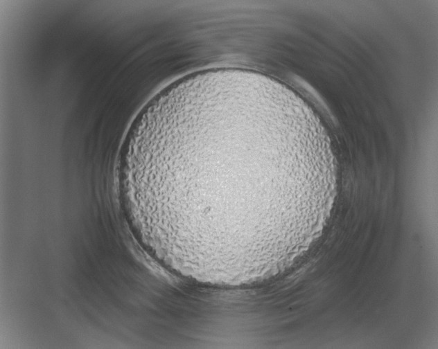 X0000082141292200702162133