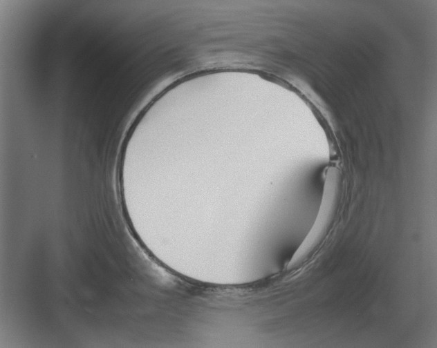 X0000082141293200702162133