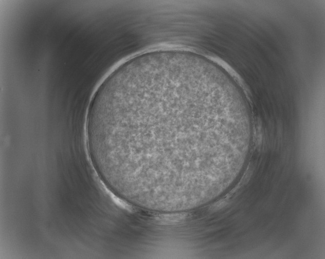 X0000082141294200702162133