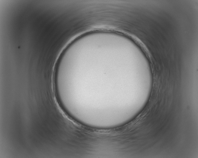 X0000082141295200702162133