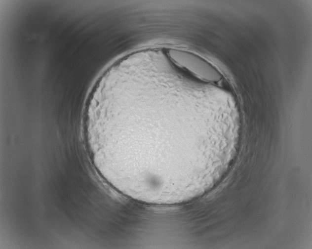 X0000082141296200702162133