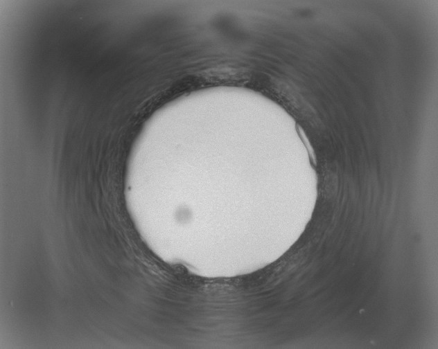 X0000082141297200702162132