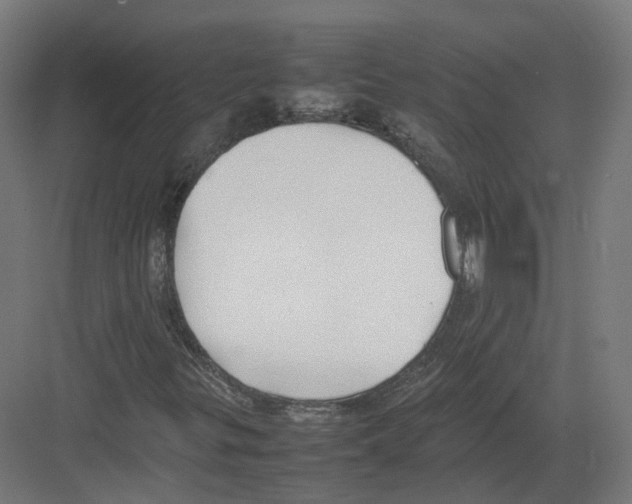 X0000082141299200702162132