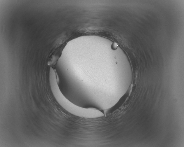 X0000082141300200702162132