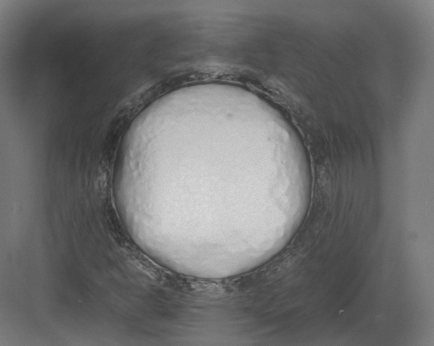 X0000082141302200702162132