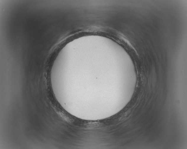 X0000082141304200702162132