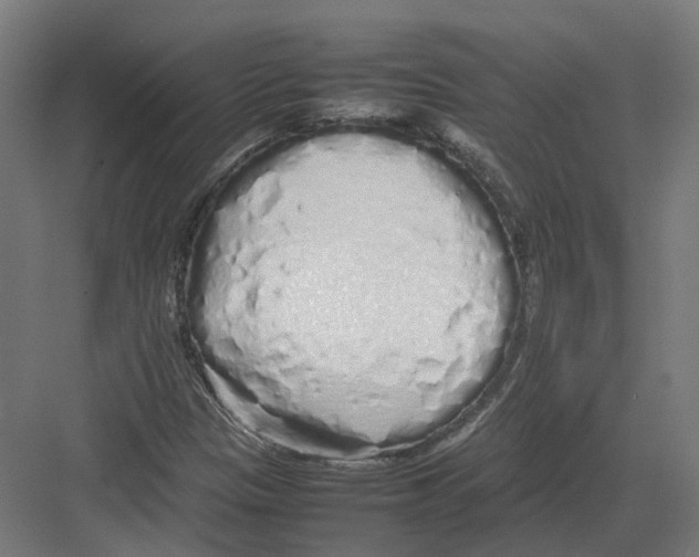 X0000082141305200702162132