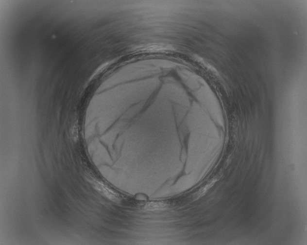 X0000082141306200702162132