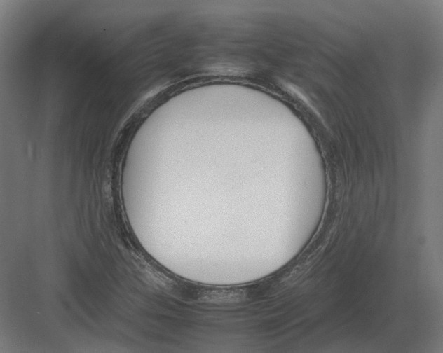 X0000082141307200702162132