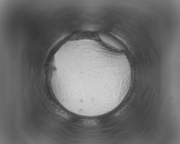 X0000082141309200702162132