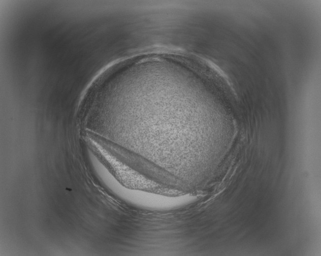 X0000082141310200702162132