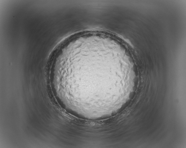 X0000082141311200702162132