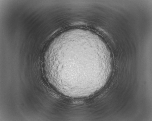 X0000082141313200702162132