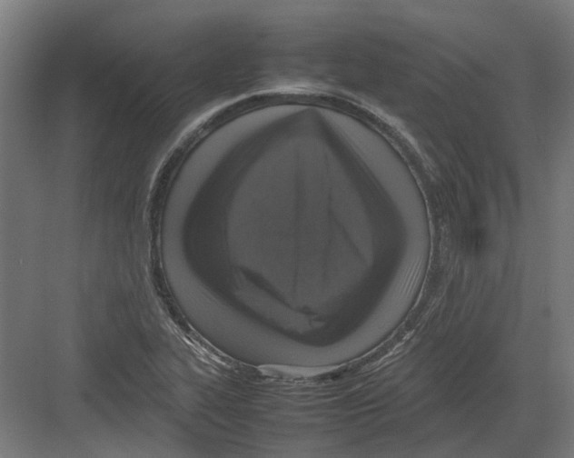 X0000082141319200702162132