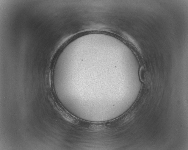 X0000082141320200702162132