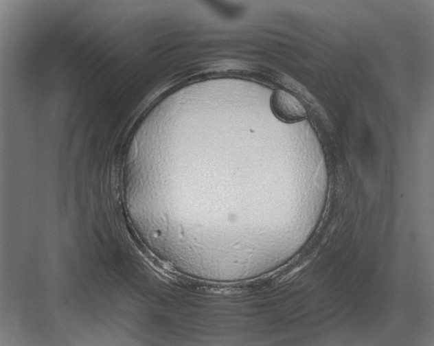 X0000082141321200702162132