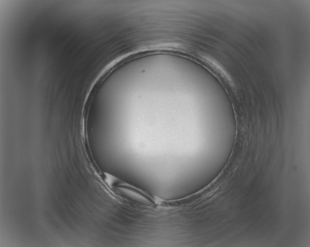 X0000082141324200702162132