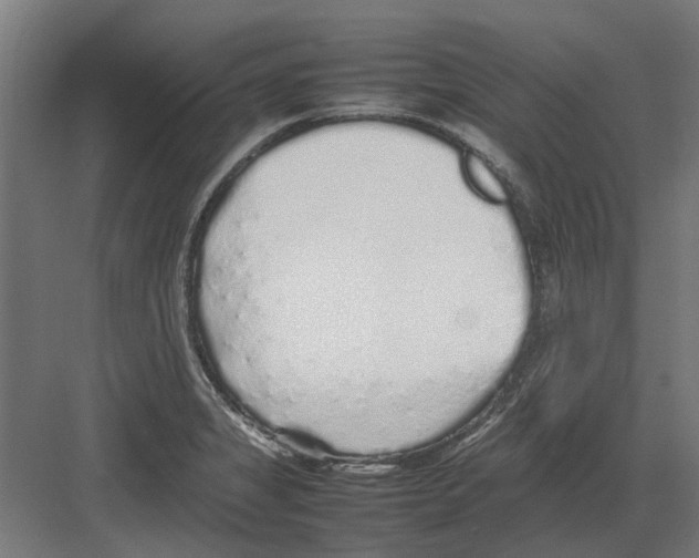 X0000082141325200702162132