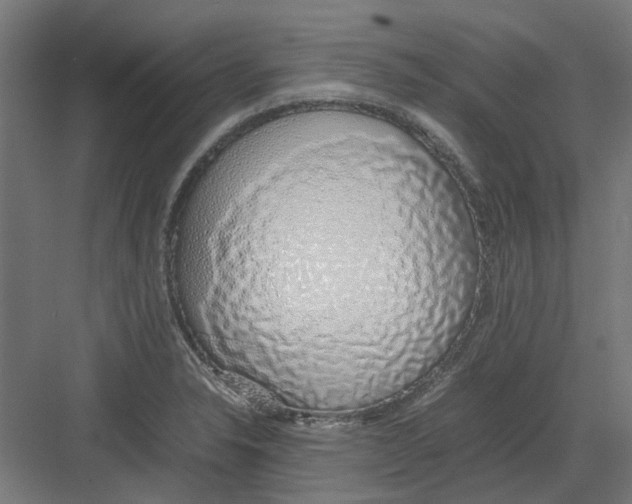 X0000082141326200702162133