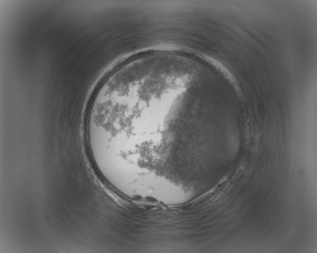 X0000082141327200702162133