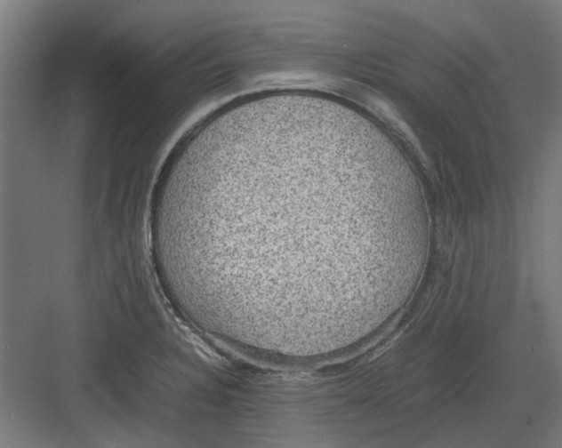 X0000082141328200702162133