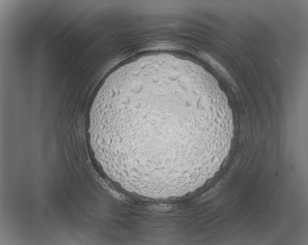 X0000082141329200702162133