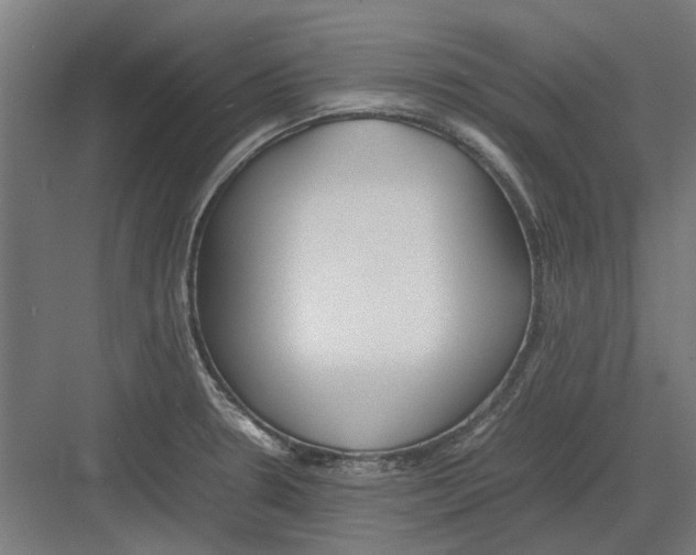 X0000082141330200702162133