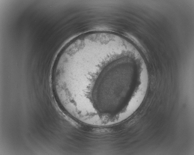 X0000082141331200702162133