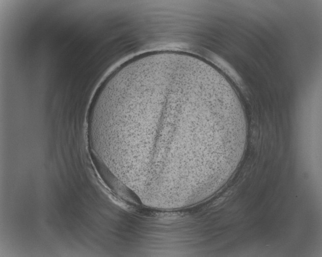 X0000082141332200702162133