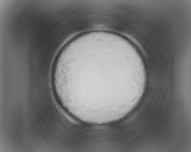 X0000082141333200702162133