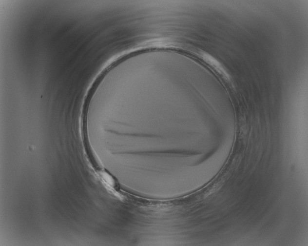 X0000082141334200702162133