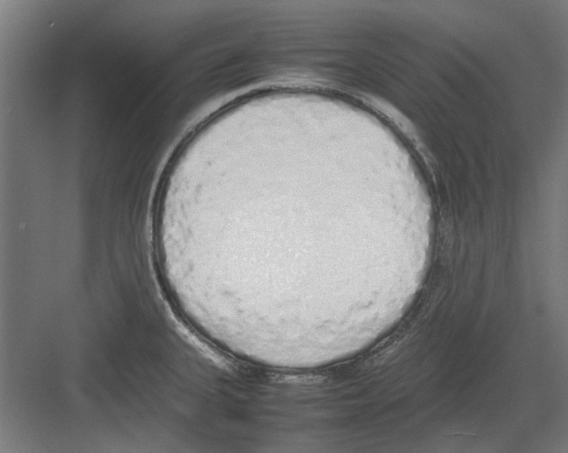 X0000082141335200702162133