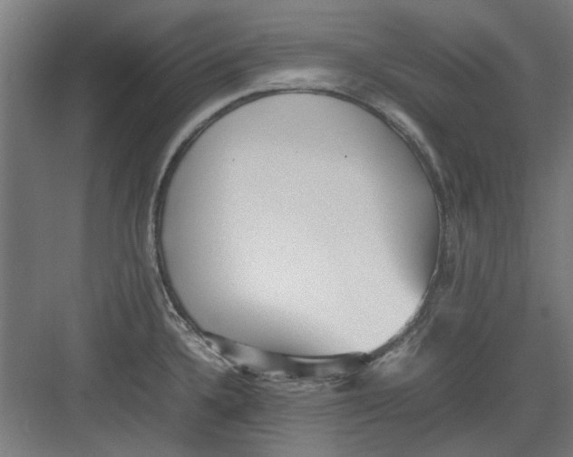 X0000082141336200702162133