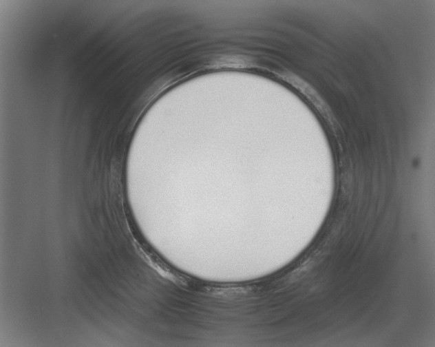 X0000082141337200702162133