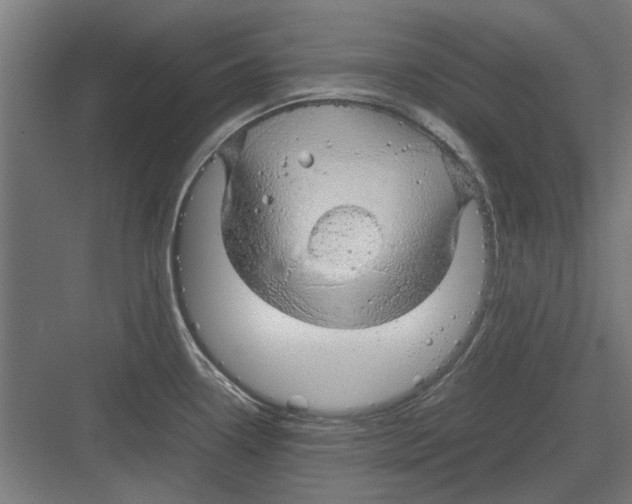 X0000082141338200702162133