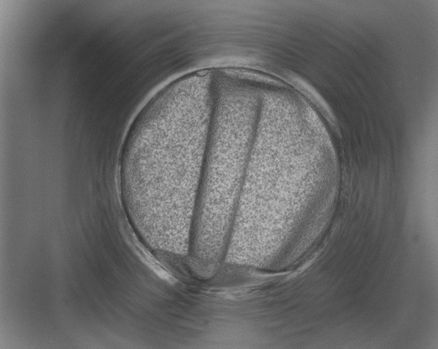 X0000082141340200702162133