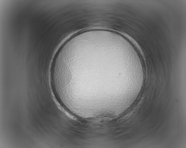 X0000082141341200702162133