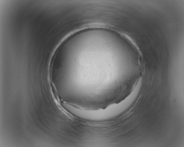 X0000082141342200702162133