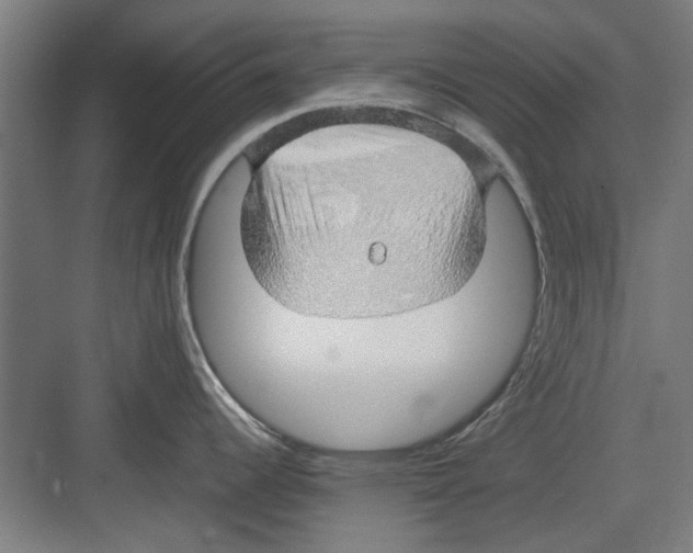 X0000082141344200702162133